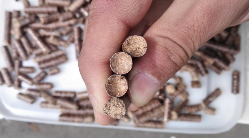 纯木屑不结焦生物质颗粒燃料