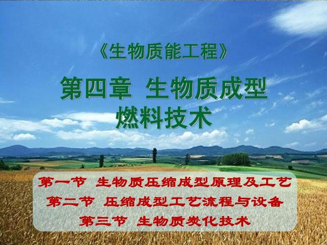 生物质成型燃料技术ppt