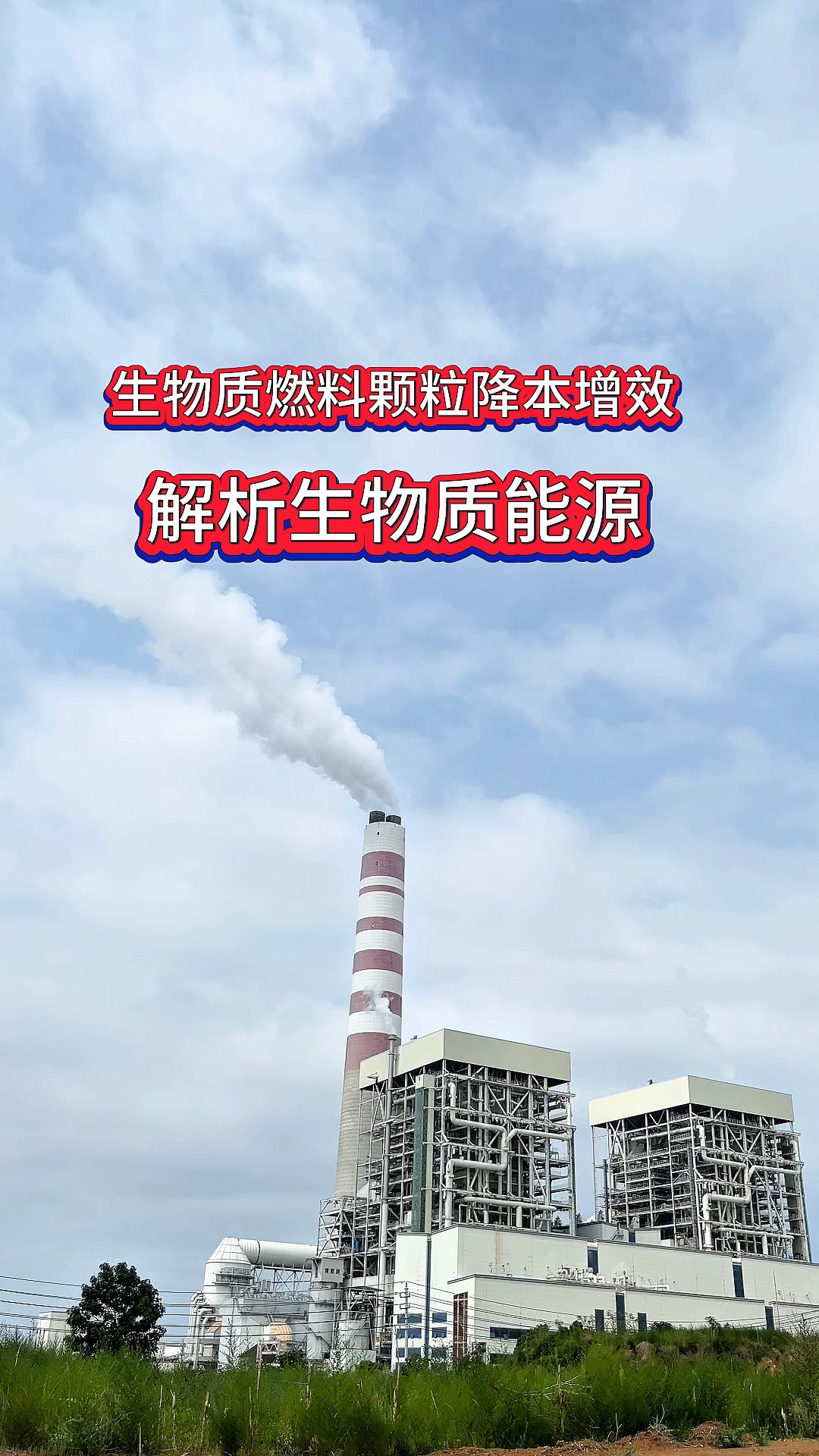 生物质燃料颗粒,低成本高效率